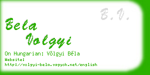 bela volgyi business card