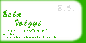 bela volgyi business card